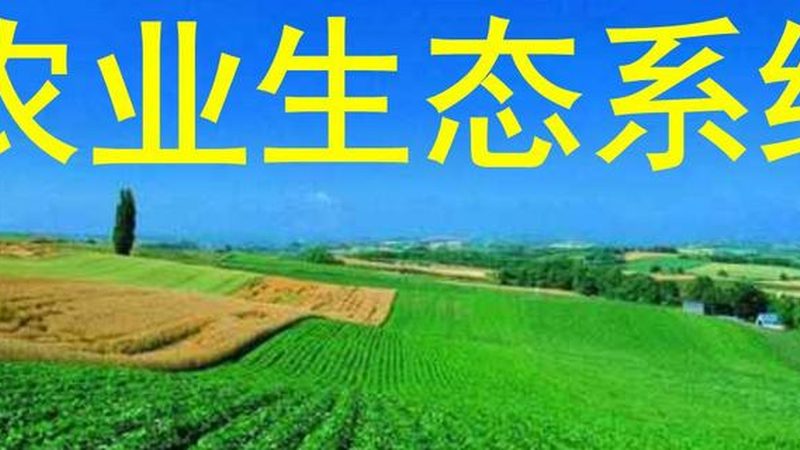 绿色食品认证续展，浙江农场主的必知流程