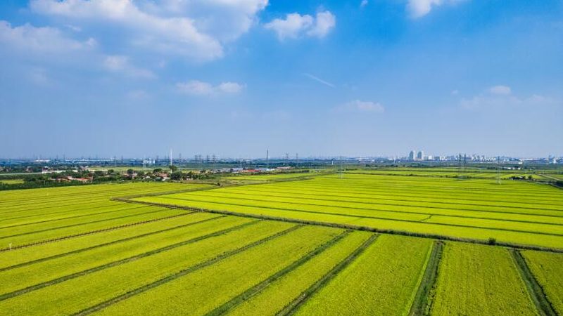 目前市场上常见的水肥一体化设备材质主要有以下几种：