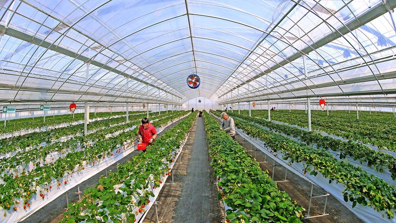 根据市场调研和定位，进行农资店的设计规划。设计应注重以下几点：