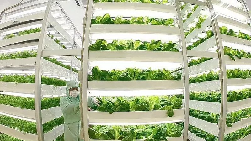 冷链配送流程温度标准解析