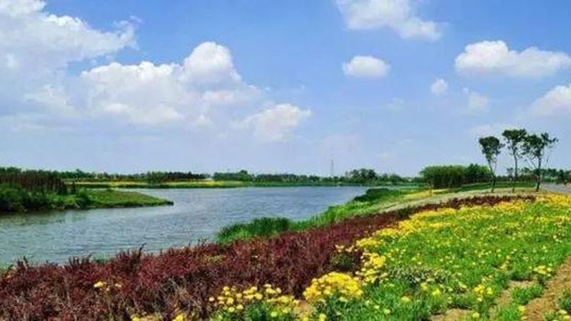 农产品批发代理流程：细节解析与关键注意事项