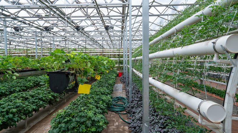现代农业水肥一体化系统：揭秘其核心参数与选型要点