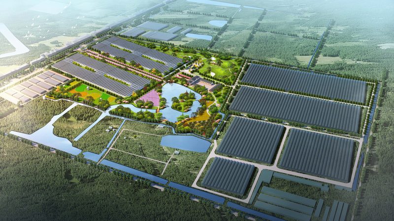 农民专业合作社成员人数规定解析