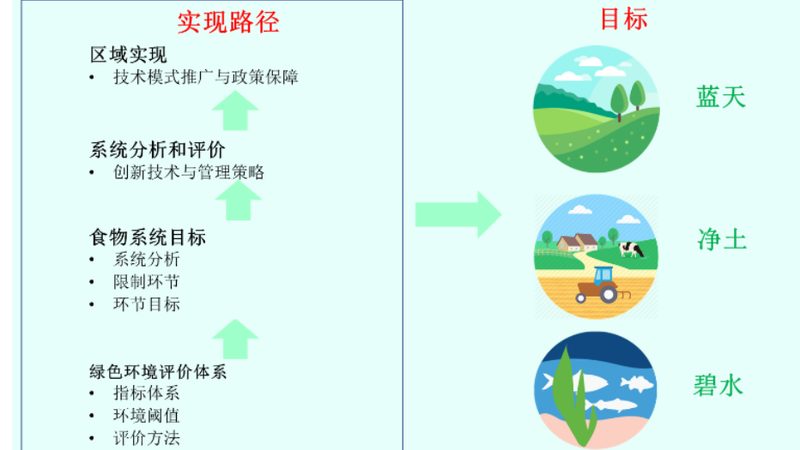 有机蔬菜种植：从选种到收获的绿色之路