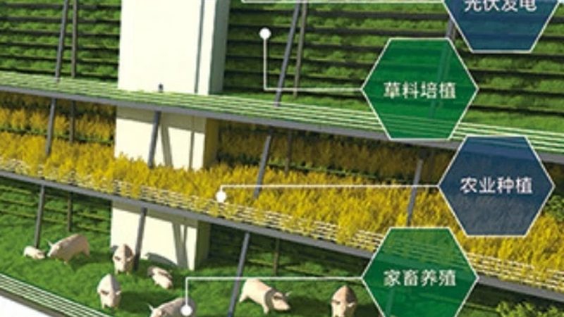 果蔬配送资质，农场主的合规之路