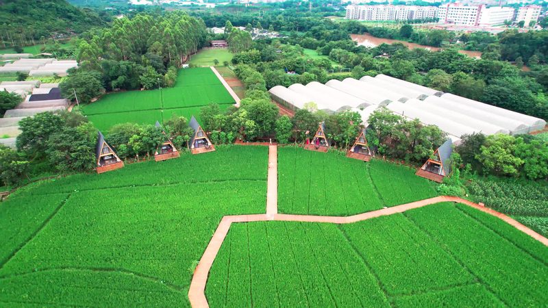 合作社饲料采购标准规范：如何构建科学高效的供应链**