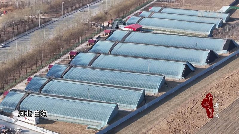 2025年全国农产品批发市场展会排期怎么看