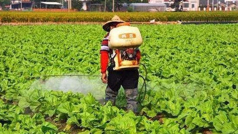 农药价格行情走势图解析：揭秘市场动态与决策要点